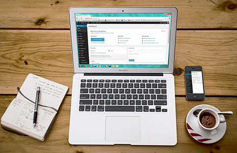 Développement & Référencement Site WordPress